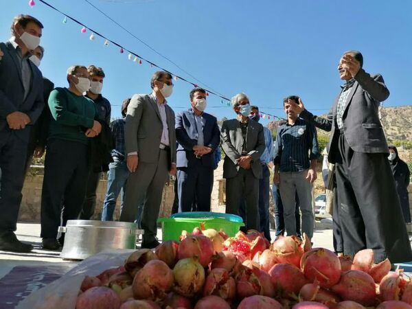 تقویت زیرساخت‌ها بخش کشاورزی در روستاها مسیر توسعه را هموار می‌سازد