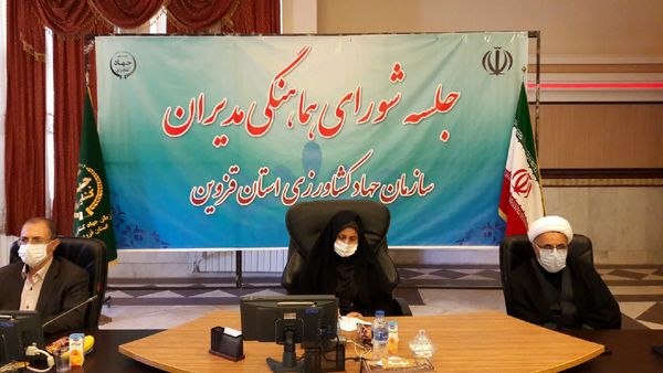 پایداری تولیدی با صیانت از اراضی کشاورزی امکان پذیر است 