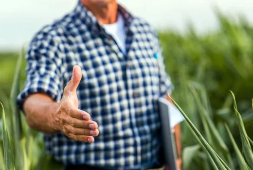 ثبت پنج هزار و ۲۷۵ هکتار  کشت قراردادی در شهرستان تبریز 