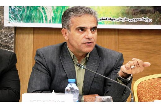 ضریب برداشت مکانیزاسیون برنج به ۸۵ درصد رسید