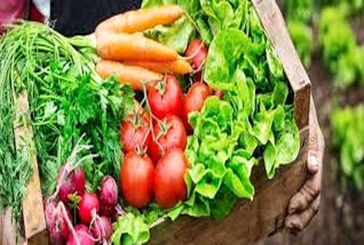 آشنایی با کاشت محصول سالم در خرمشهر