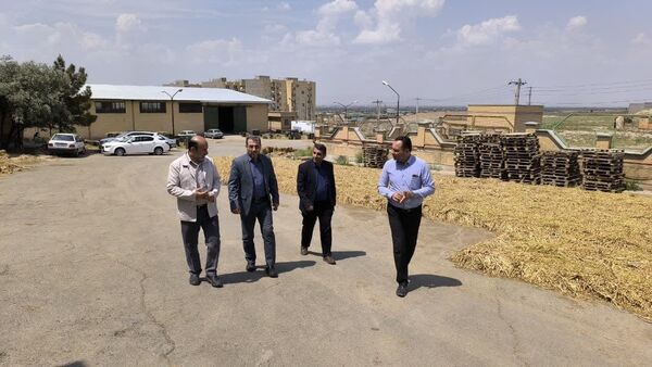بازدید مدیر تعاون روستایی آذربایجان شرقی از مجتمع انبار سرد ایلخچی
