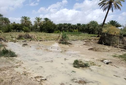 سیل فروردین‌ماه به بخش کشاورزی 11 استان کشور خسارت زد