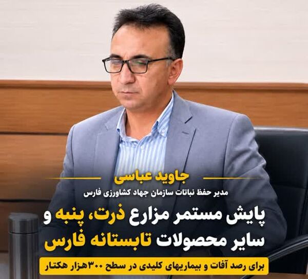 رصد ۳۰۰ هزار هکتار از مزارع تابستانه استان فارس برای مهار آفات