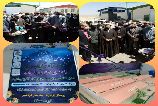 کارگاه تولید گیاهان دارویی دره شهر به بهره برداری رسید