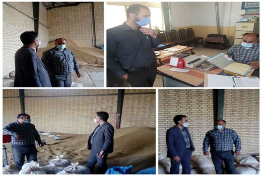 تشدید نظارت بر روند توزیع نهاده دامی در شهرستان بن 