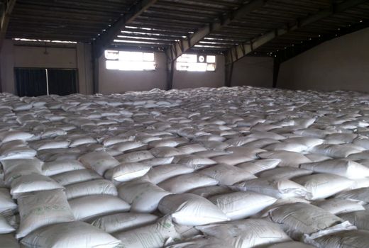 کودهای بذرمال به شرکت‌های تولیدکننده بذر استان تحویل داده شد