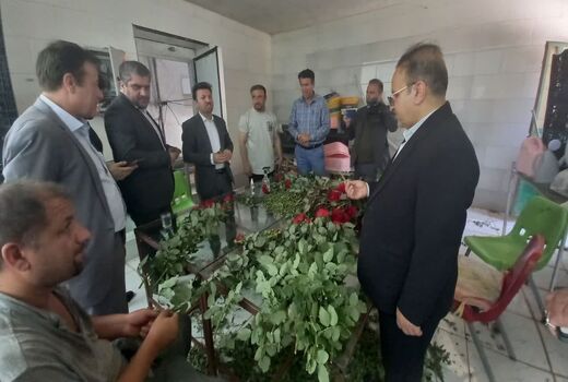 محصولات اقتصادی و جدید کشاورزی در کهگیلویه و بویراحمد 