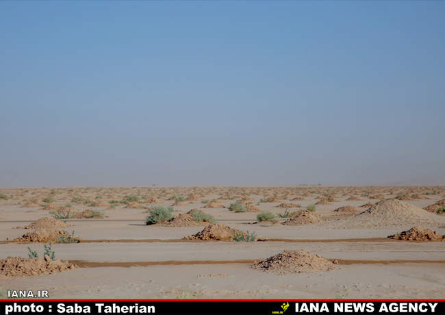  مقابله با بیان زایی