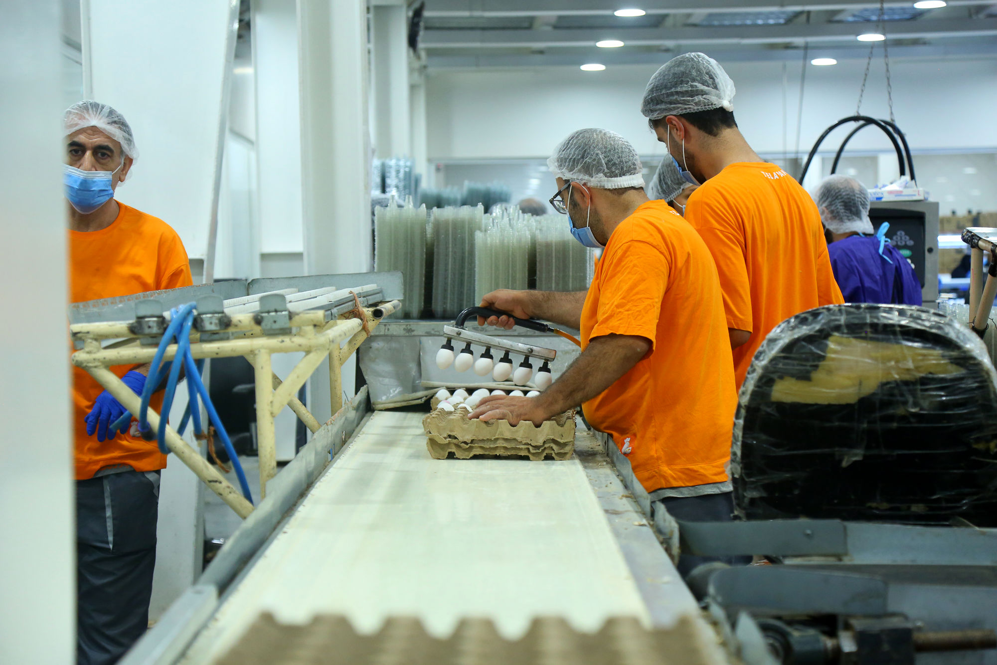 تور رسانه ای به مناسبت هفته دامپزشکی 