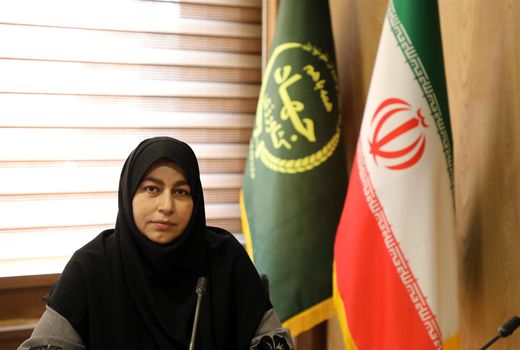 معرفی ۴ رقم برنج جدید برای سال زراعی آتی