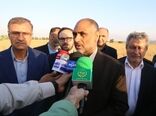 برداشت گندم در جنوب کشور آغاز شد