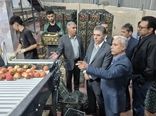 سفر هیات بازرگانی کرمانشاه به آذربایجانغربی برای تأمین سیب شب عید