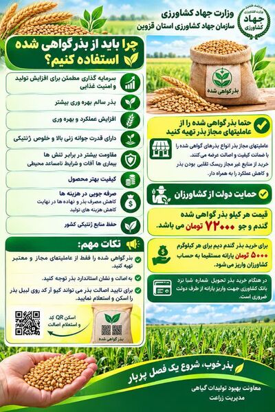 چرا باید از بذر اصلاح شده استفاده کرد 
