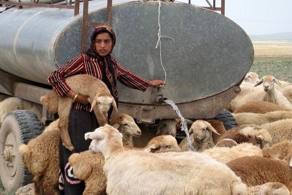 افتتاح بیش از ۱۰۰ میلیارد ریال پروژه آبرسانی به عشایر در هفته دولت