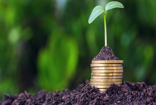 بیش‌از دوهزار و ۷۰۰ کشت قراردادی در شهرستان تبریز ثبت شد