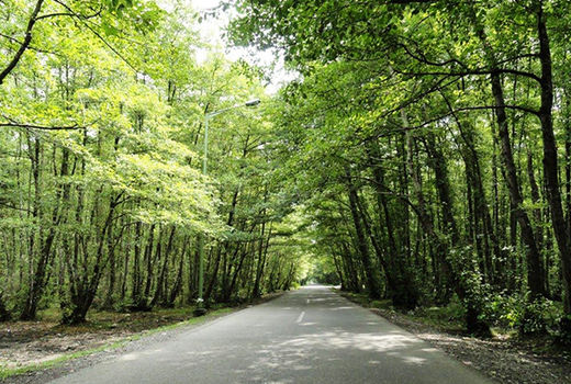 دستگاه قضایی با تخریب‌ منابع طبیعی برخورد می‌کند