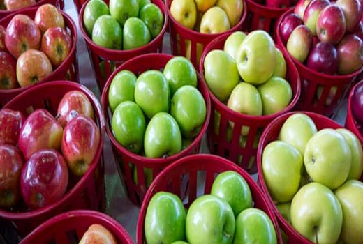 ۶۰ درصد از سیب صادراتی کشور از طریق آذربایجان‌غربی تأمین شد