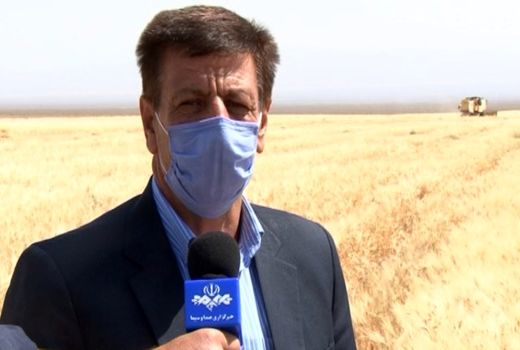 پایان برداشت جو از مزارع شهرستان نطنز