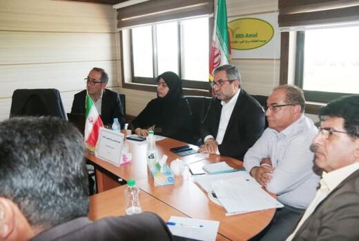 مازندران در مسیر کاهش ضایعات برنج با هدف دستیابی به پایداری تولید