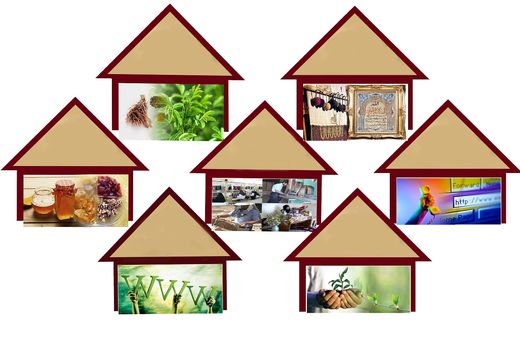 پرداخت بیش از 10 میلیارد ریال تسهیلات مشاغل خانگی در باوی