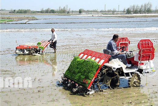 ستاد تنظیم بازار را به جهادکشاورزی برگردانید