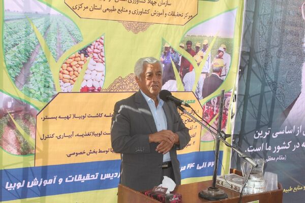 وضعیت بخش کشاورزی کشور به رغم تحریم ها و جنگ اقتصادی مطلوب است