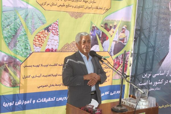 وضعیت بخش کشاورزی کشور به رغم تحریم ها و جنگ اقتصادی مطلوب است