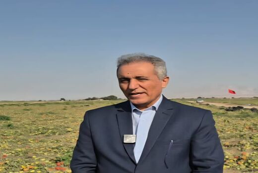 ۱۲ هزار میلیارد تومان خسارت حوادث اخیر به بخش کشاورزی