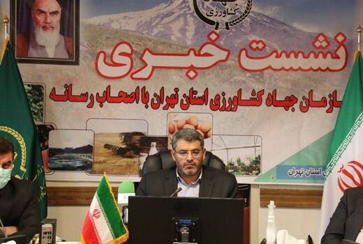قیمت سیب زمینی به زودی متعادل می شود/ تامین کامل کالاهای اساسی در آستانه ماه رمضان و شب عید 