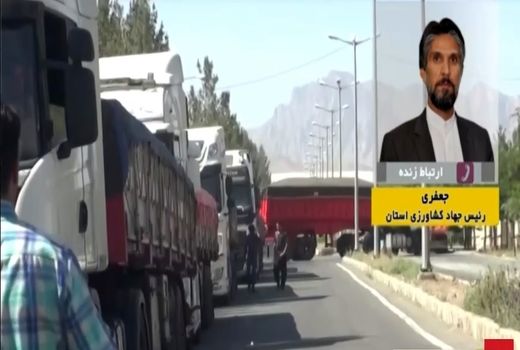 نهاده‌های دام و طیور وارد استان شد