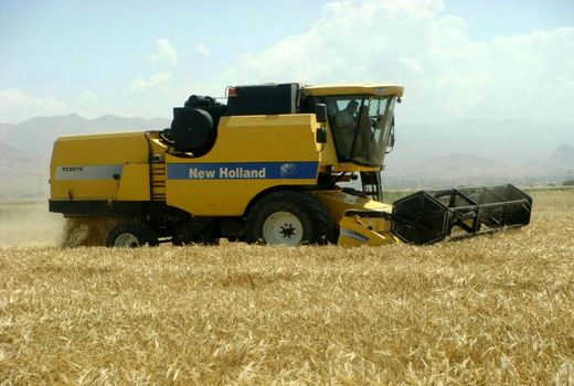 برداشت جو از مزارع کشاورزی شهرستان بویین زهرا آغاز شد