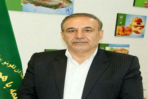 خرید جو آنلاین در استان لرستان