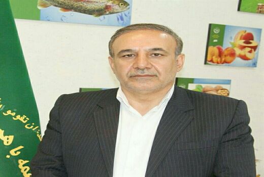 خرید جو آنلاین در استان لرستان