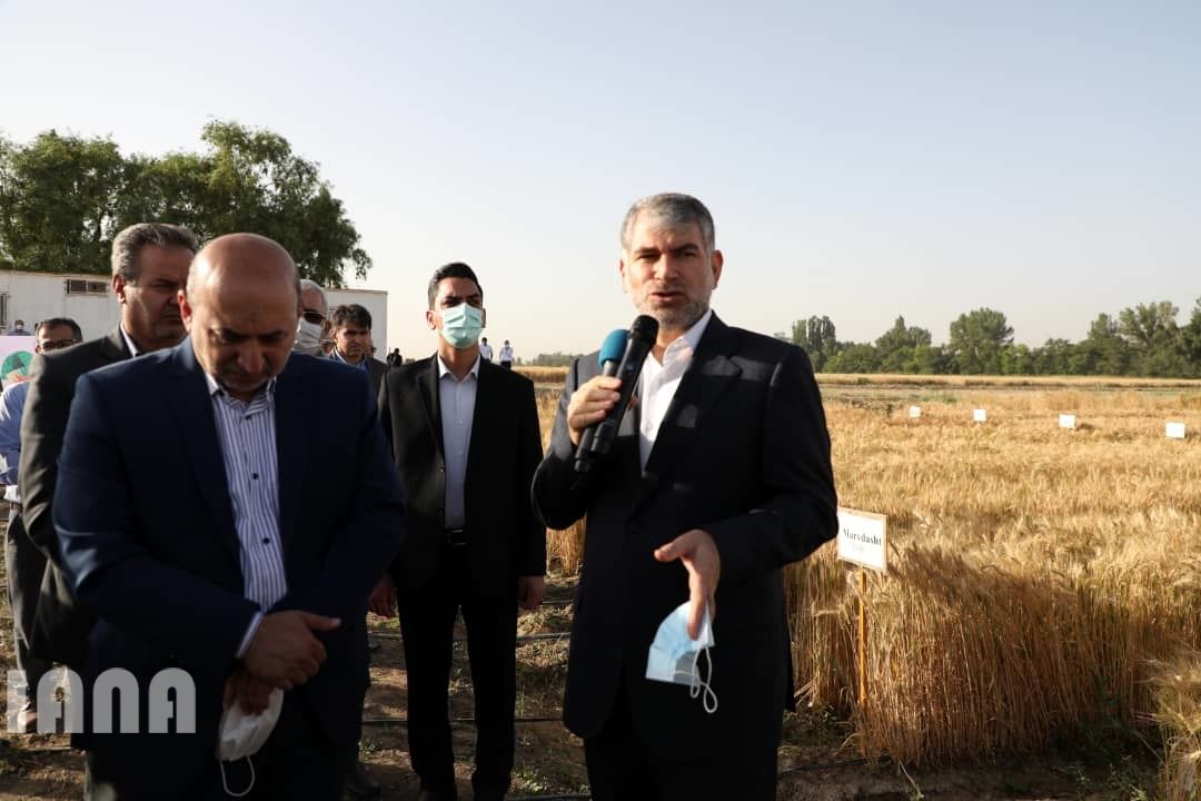 WhatsApp Image 2022-06-14 at 10.06.33 AM