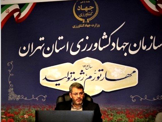 کشت محصولات زراعی پاییزه در استان تهران به بیش از 54 هزارهکتار رسید