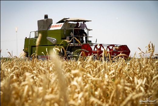 پیش‌بینی برداشت ۳۶ هزار تن جو در شهرستان بهار