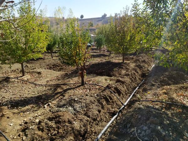 ۸۰۰ هکتار از اراضی کشاورزی سردشت به شبکه نوین آبیاری تجهیز شد