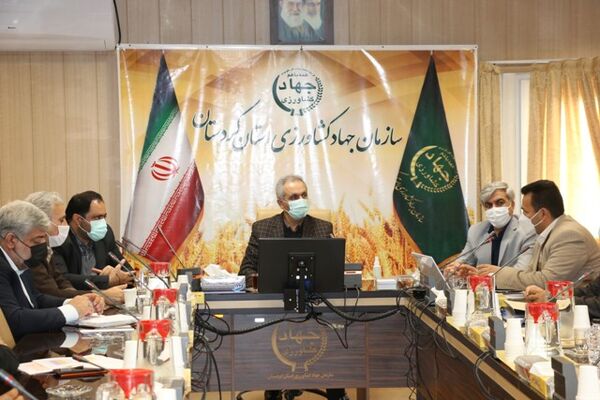 طرح جهش تولید در دیمزارهای کردستان ۹۰ درصد پیشرفت فیزیکی دارد
