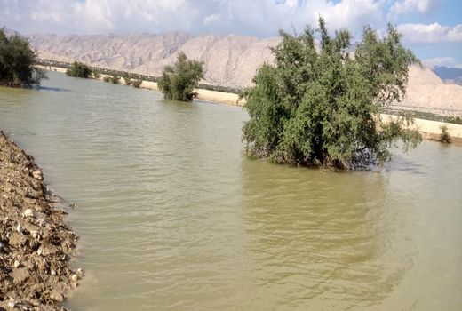 آبگیری طرح های تغذیه مصنوعی در قیروکارزین