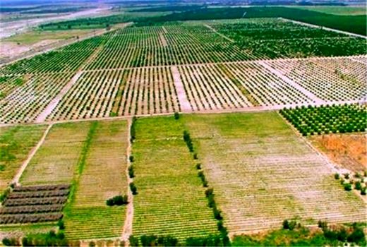 آغاز اجرای طرح کاداستر اراضی کشاورزی در دهلران