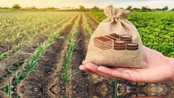 تقویت صندوق‌های توسعه کشاورزی گامی اساسی برای توسعه پایدار است