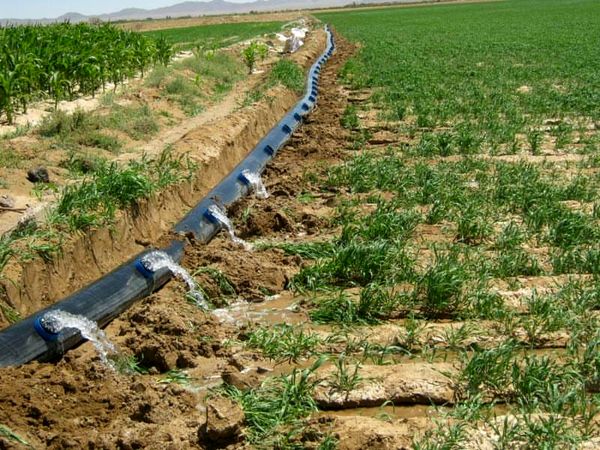 اجرای سامانه آبیاری نوین در 624 هکتار از اراضی شهرستان درمیان