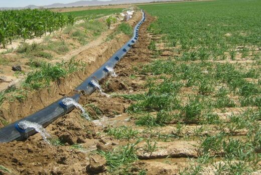 اجرای سامانه آبیاری نوین در 624 هکتار از اراضی شهرستان درمیان