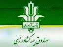 8000 هکتار از شالیزارهای مازندران بیمه شد