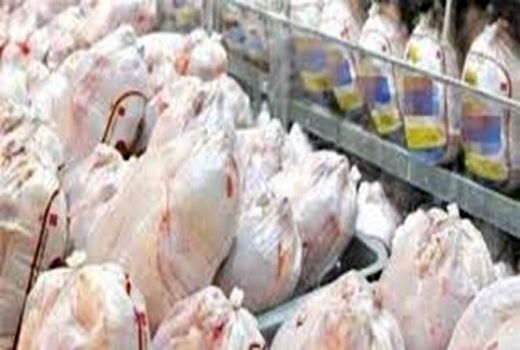 تولید بیش از ۳۶۰۰ تن گوشت سفید در فیروزآباد