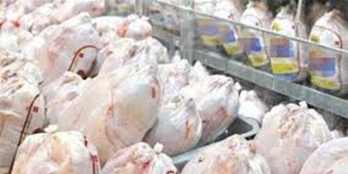 تولید بیش از ۳۶۰۰ تن گوشت سفید در فیروزآباد