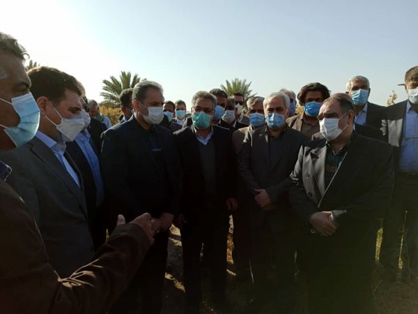 بازدید وزیر جهاد کشاورزی از مزارع و باغات خسارت دیده از سرما در جیرفت