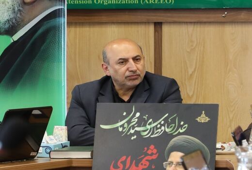 ظرفیت جایگزینی خوراک دامی وارداتی با تلاش محققان داخلی وجود دارد
