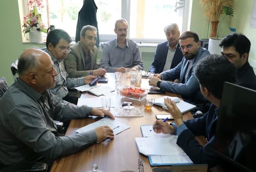 پیش‌بینی خرید ۵۰ هزار تن جو به‌صورت تضمینی از کشاورزان استان قزوین